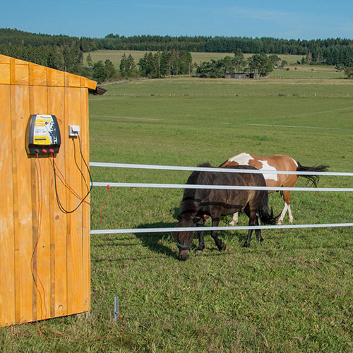 Waar moet je op letten bij een paardenafrastering voor een grote weide, paddock en stal?