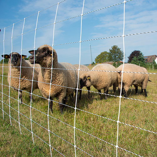 Schrikdraad voor stal, paddock en grote weide