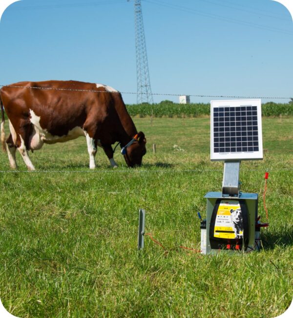 Mobiele afrastering rundvee